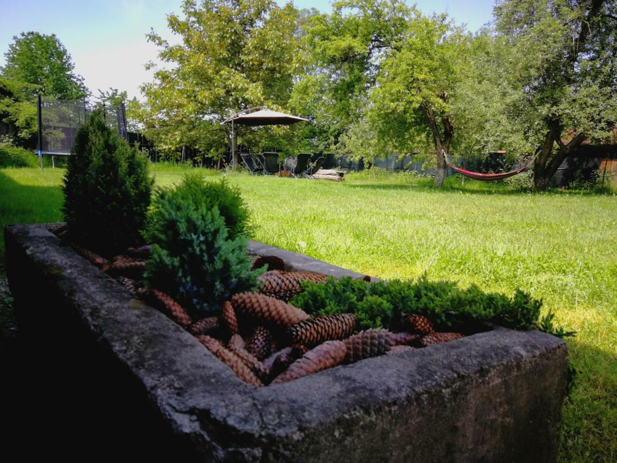 Pensiunea Balea Sat Cartisoara Exterior photo
